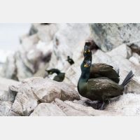 4683 x 3122_Px _RM_140327_MG_0731.jpg