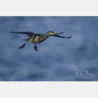 4716 x 3144_Px _RM_140326_MG_9866.jpg