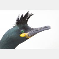 4724 x 3149_Px _RM_140327_MG_6947.jpg