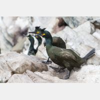 4753 x 3169_Px _RM_140327_MG_0675.jpg