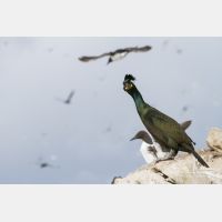 4813 x 3208_Px _RM_140327_MG_7801.jpg