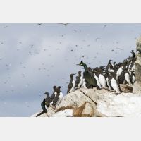 4844 x 3229_Px _RM_140327_MG_7780.jpg