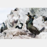 4853 x 3235_Px _RM_140327_MG_0682.jpg