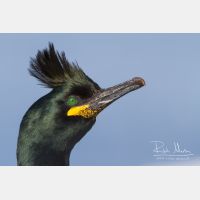 4877 x 3251_Px _RM_140325_MG_0405.jpg