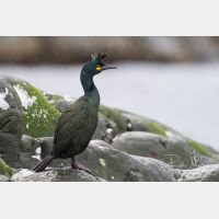 4924 x 3283_Px _RM_140325_MG_0329.jpg