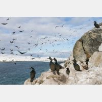 4928 x 3285_Px _RM_140327_MG_7387.jpg