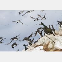 4958 x 3305_Px _RM_140327_MG_7795.jpg