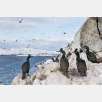 4966 x 3311_Px _RM_140327_MG_7332.jpg