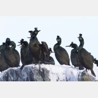 4978 x 3319_Px _RM_140325_MG_0412.jpg