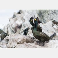 4990 x 3327_Px _RM_140327_MG_0686.jpg