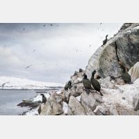 4998 x 3332_Px _RM_140327_MG_0646.jpg