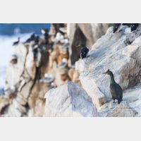 5003 x 3335_Px _RM_140325_MG_1577.jpg