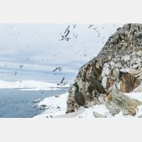 5006 x 3338_Px _RM_140326_MG_0340.jpg