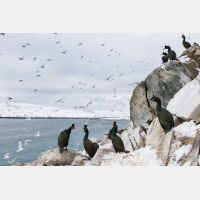 5031 x 3354_Px _RM_140327_MG_7209.jpg