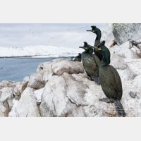 5063 x 3375_Px _RM_140327_MG_7193.jpg