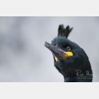 5076 x 3384_Px _RM_140327_MG_7015.jpg