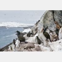 5081 x 3387_Px _RM_140327_MG_0668.jpg