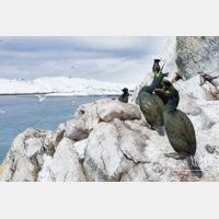 5118 x 3412_Px _RM_140327_MG_7185.jpg