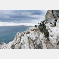 5118 x 3412_Px _RM_140327_MG_7188.jpg