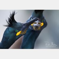 5184 x 3456_Px _RM_140327_MG_6966.jpg