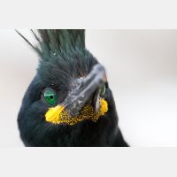 5184 x 3456_Px _RM_140327_MG_7114.jpg