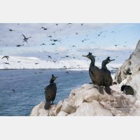 5184 x 3456_Px _RM_140327_MG_7383.jpg