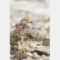 3057 x 4585_Px _RM_130422_MG_2527.jpg