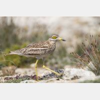 4744 x 3163_Px _RM_130422_MG_2481.jpg