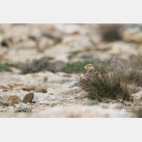 4821 x 3214_Px _RM_130422_MG_2399.jpg