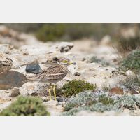 5184 x 3456_Px _RM_130422_MG_2436.jpg