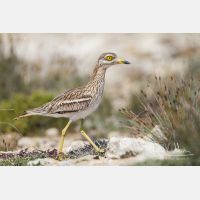 5184 x 3456_Px _RM_130422_MG_2494.jpg