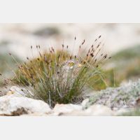 5184 x 3456_Px _RM_130422_MG_2516.jpg