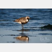 3118 x 2079_Px _RM_060910_MG_8914.jpg