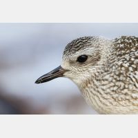 3494 x 2329_Px _RM_120928_MG_4559.jpg