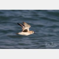 3553 x 2369_Px _RM_130128_MG_0979.jpg