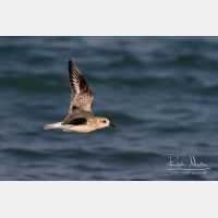 3623 x 2416_Px _RM_130128_MG_0975.jpg