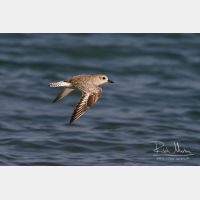 3771 x 2514_Px _RM_130128_MG_0984.jpg