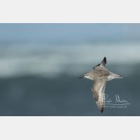 3916 x 2611 Px   _RM_190917_D2_1711.jpg