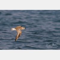 4251 x 2834_Px _RM_130128_MG_0969.jpg