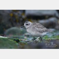 4355 x 2903_Px _RM_120927_MG_3667.jpg