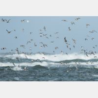 4417 x 2944 Px   _RM_190917_D2_1667.jpg