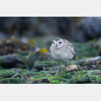 4596 x 3064_Px _RM_120927_MG_3670.jpg