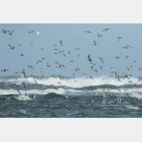 4679 x 3120 Px   _RM_190917_D2_1667.jpg