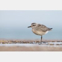 4766 x 3177_Px _RM_120928_MG_4066.jpg