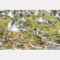 4831 x 3221 Px   _RM_190917_D2_1762.jpg