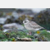 4918 x 3278_Px _RM_120927_MG_3673.jpg