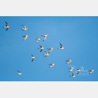 5568 x 3712 Px   _RM_191031_DSC_0643.jpg