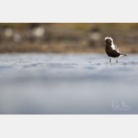 5760 x 3840 Px   _RM_180805__D3_5517.jpg