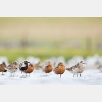 5760 x 3840 Px   _RM_180805__D3_5558.jpg