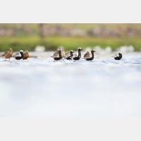 5760 x 3840 Px   _RM_180805__D3_5568.jpg